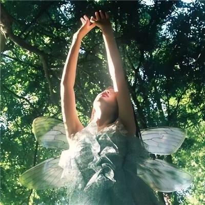 二龙湖·村暖花开2